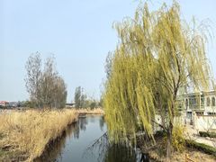 -白洋淀景区