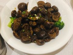 -楚灶王(徐东店)