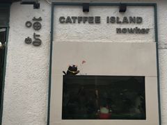 -喵屿·大理花园猫咖