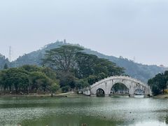 -顺峰山公园