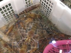 -珠光市场(文德南路)
