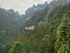 -富正毅三下锅·湘西韵味(天门山索道店)