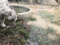 -临沂动植物园