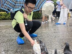 -小街天府