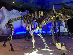 -亿利库布其七星湖沙漠生态旅游区