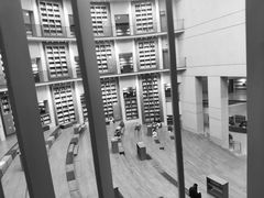 -浙江越秀外国语学院