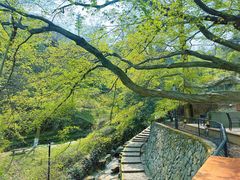 -莫干山风景区