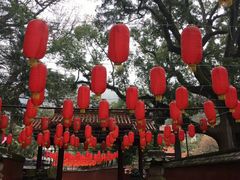 -汇雅温泉