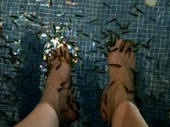 -水晶之星洗浴温泉汗蒸