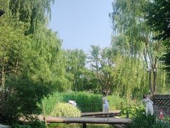 -春风习习