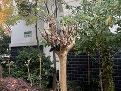 -徽珍源(龙茗路店)
