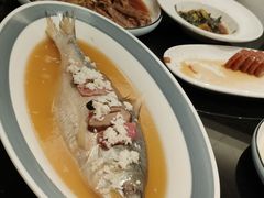酒酿蒸鲥鱼-新南华大酒店(广中店)