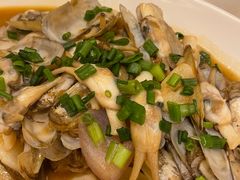 -华盛丰温州大排档(东三环南路店)