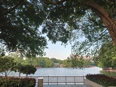 -荔湾湖公园