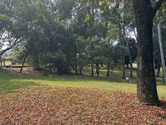 -福建鲤鱼洲酒店