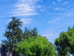 -国家图书馆·古籍馆