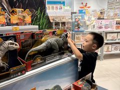 -TOYSRUS玩具反斗城(上海万象城店)