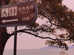 -八大关景区