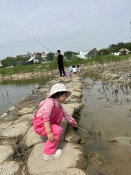 -268童话露营农场·烧烤·团建