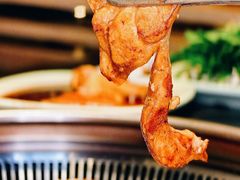 -梨花自助烤肉(西三旗万象汇黑金店)