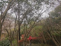 -南京市江宁方山