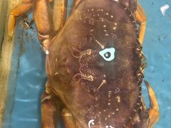 -双井轩(双井店)