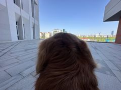 -上海长风大悦城