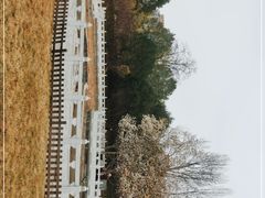 -丰台花园