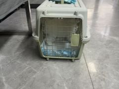 -半岛宠物医院24小时(白果林店)