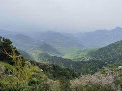 -泰山风景名胜区