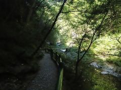 -少华山国家森林公园