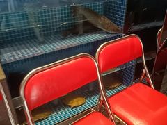 -涿派·炝锅鱼(涿州店)
