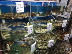 水产区-海之味海鲜大咖·家常菜