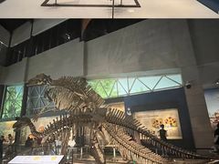 -湖南省地质博物馆