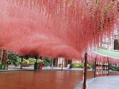 -郑州方特梦幻王国