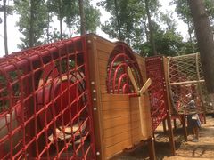 -合肥滨湖国家森林公园