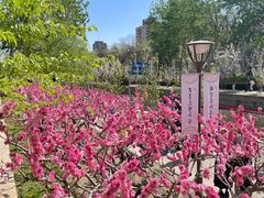 -海棠花溪(元大都城垣遗址公园)