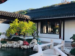 -苏州太湖西山岛开心农场