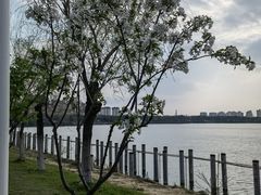 -艾溪湖湿地公园