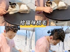 -萌兽医馆·眼科·异宠专科(三里屯店)