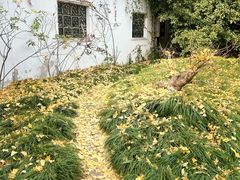 -水绘园