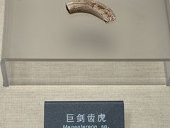 -安徽省地质博物馆