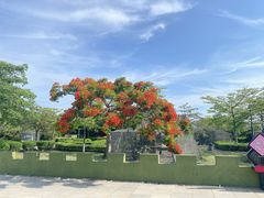 -大嶝英雄三岛战地观光园