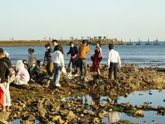 -青岛第二海水浴场
