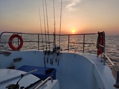 -小猫钓鱼海钓俱乐部(椰梦长廊店)