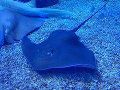 -多彩贵州城极地海洋世界