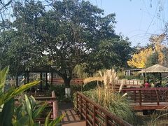 -成飞公园