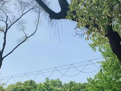 -WeLope紫金山探险公园