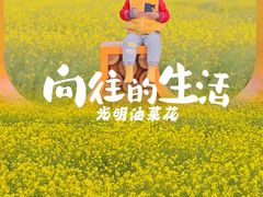 -光明小镇欢乐田园