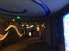 -万达影城(汉街万达广场IMAX店)